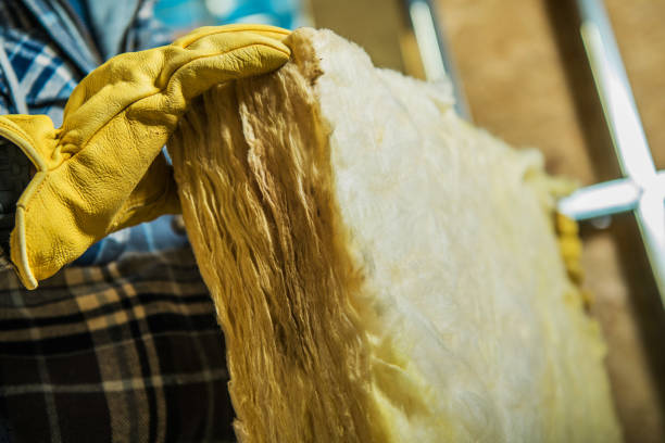 Best Insulation Contractors for Homes  in Kings Park, VA
