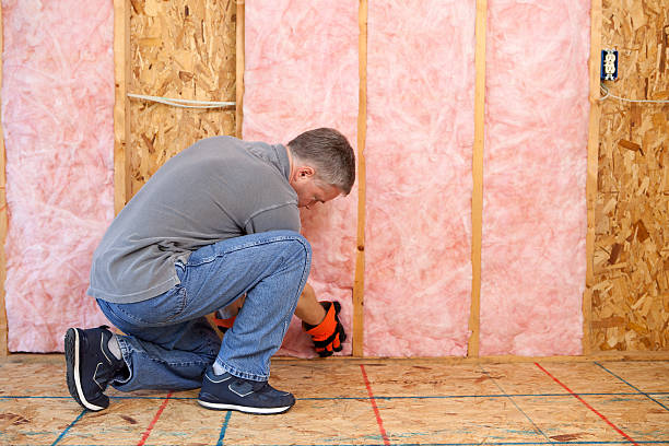 Best Insulation for New Construction  in Kings Park, VA