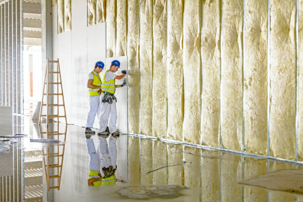 Best Soundproof Insulation Installation  in Kings Park, VA